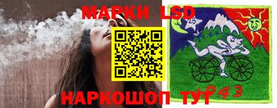 ПСИЛОЦИБИНОВЫЕ ГРИБЫ Канаш
