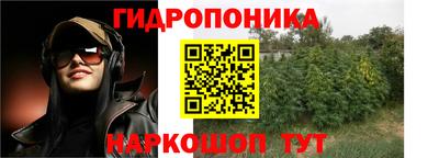 ПСИЛОЦИБИНОВЫЕ ГРИБЫ Канаш