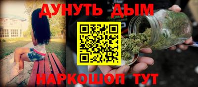 гидра Камышлов