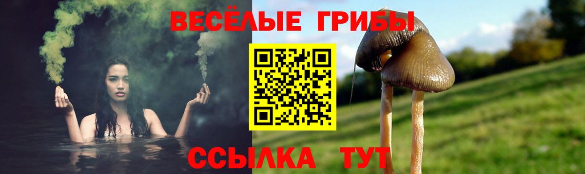 купить наркотик  Галлюциногенные грибы мицелий  Кызыл  Вход с VPN  Псилоцибиновые грибы Psilocybine cubensis 